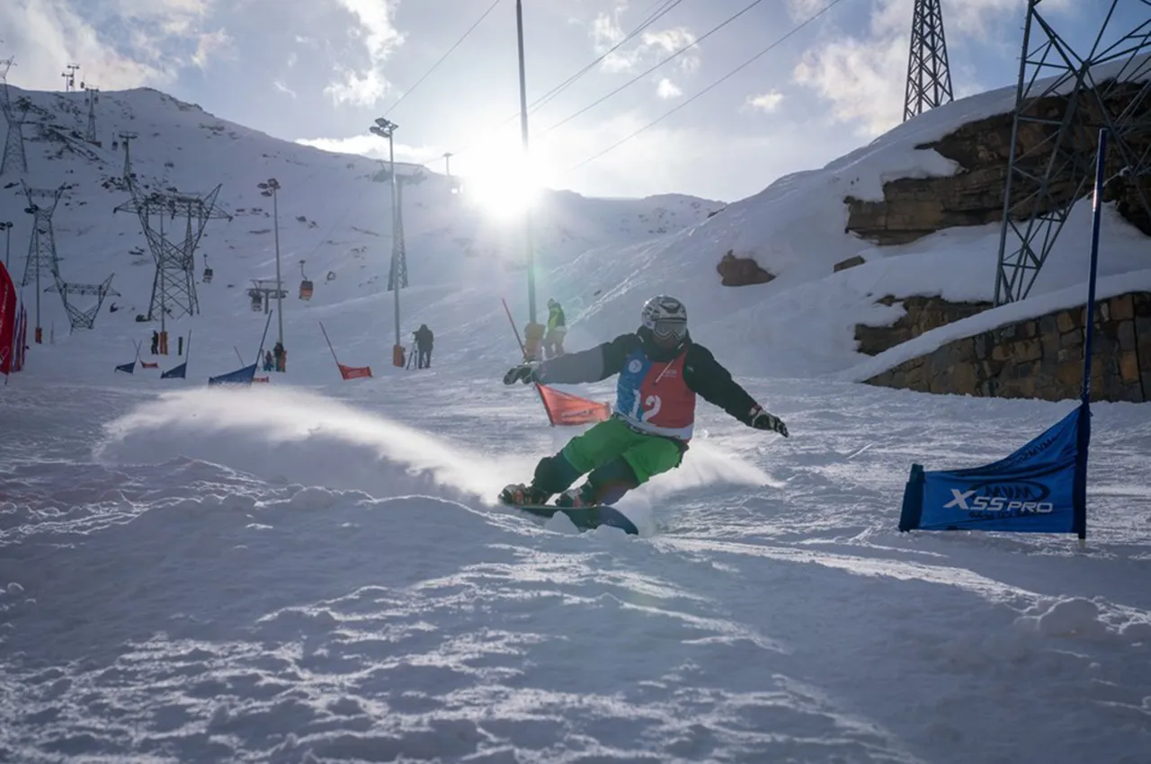 AutomobileFa MVM Ski 14031208 2