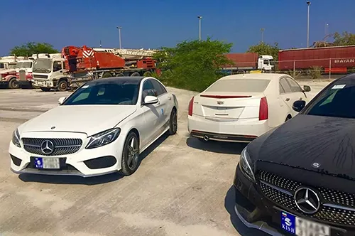 Free zone license plate