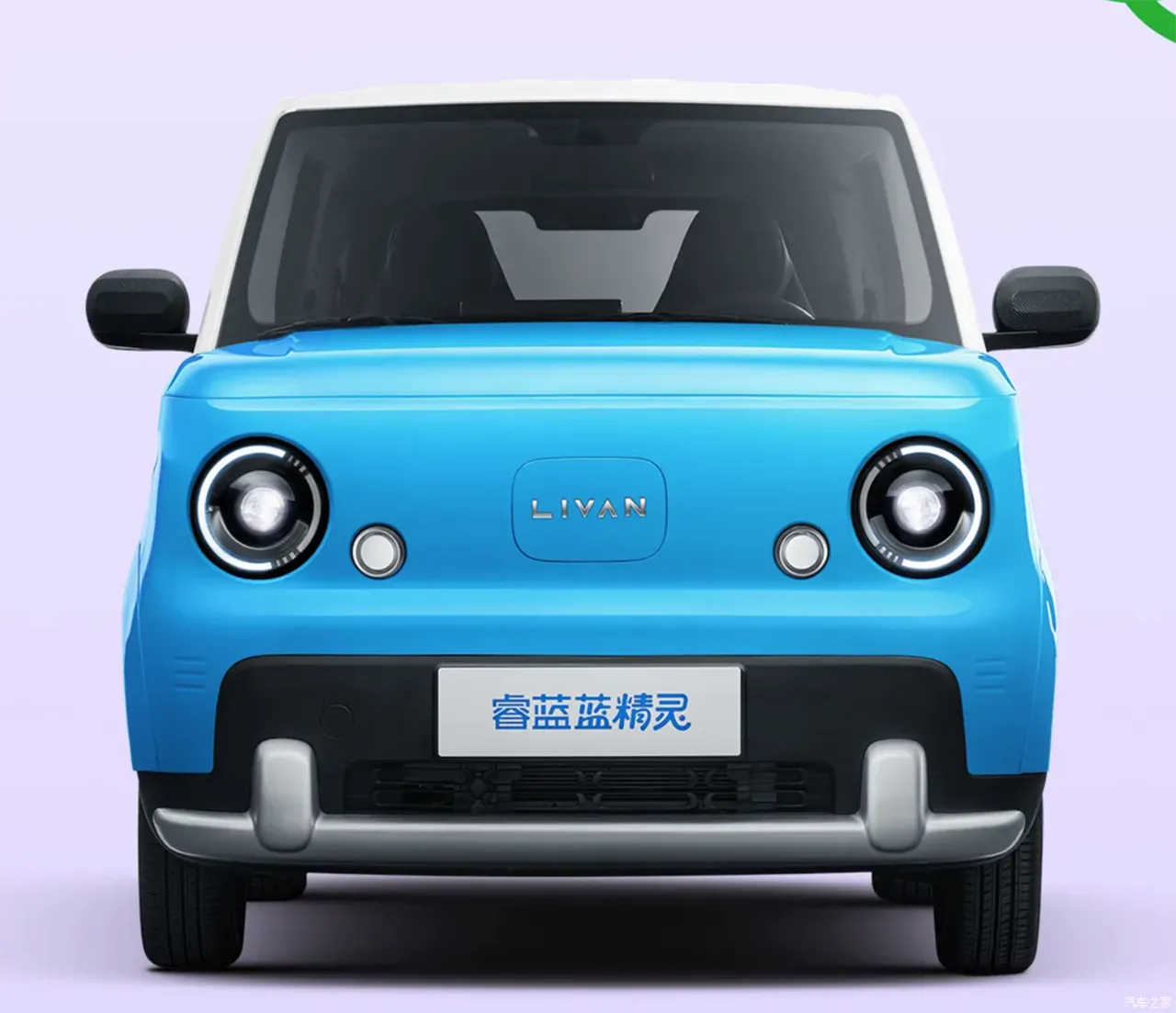 automobilefa Livan Smurf 14040528 6