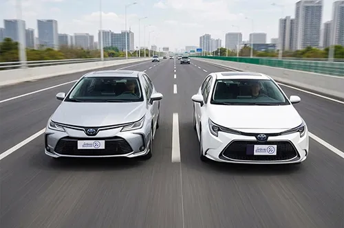  Toyota Corolla and Toyota Levin