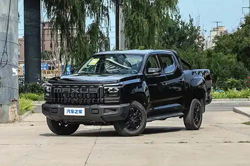 Maxus Star L 